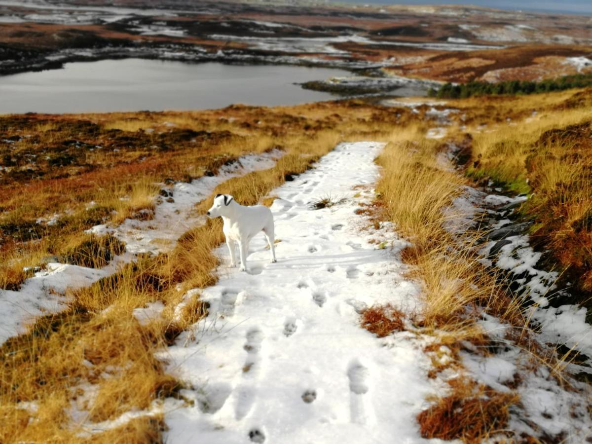 The Fisherman'S Snug Self Catering North Uist Paible Exterior foto