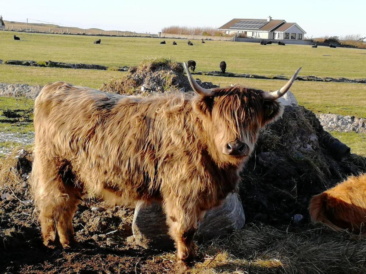 The Fisherman'S Snug Self Catering North Uist Paible Exterior foto